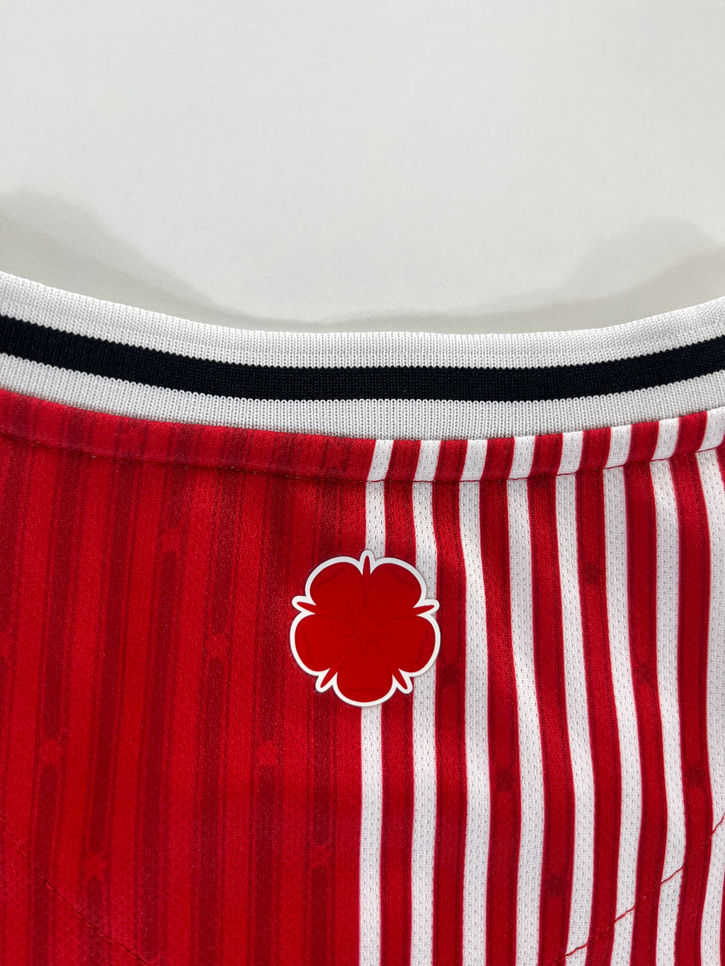 Hummel Southampton 2023-2024 hazai mez