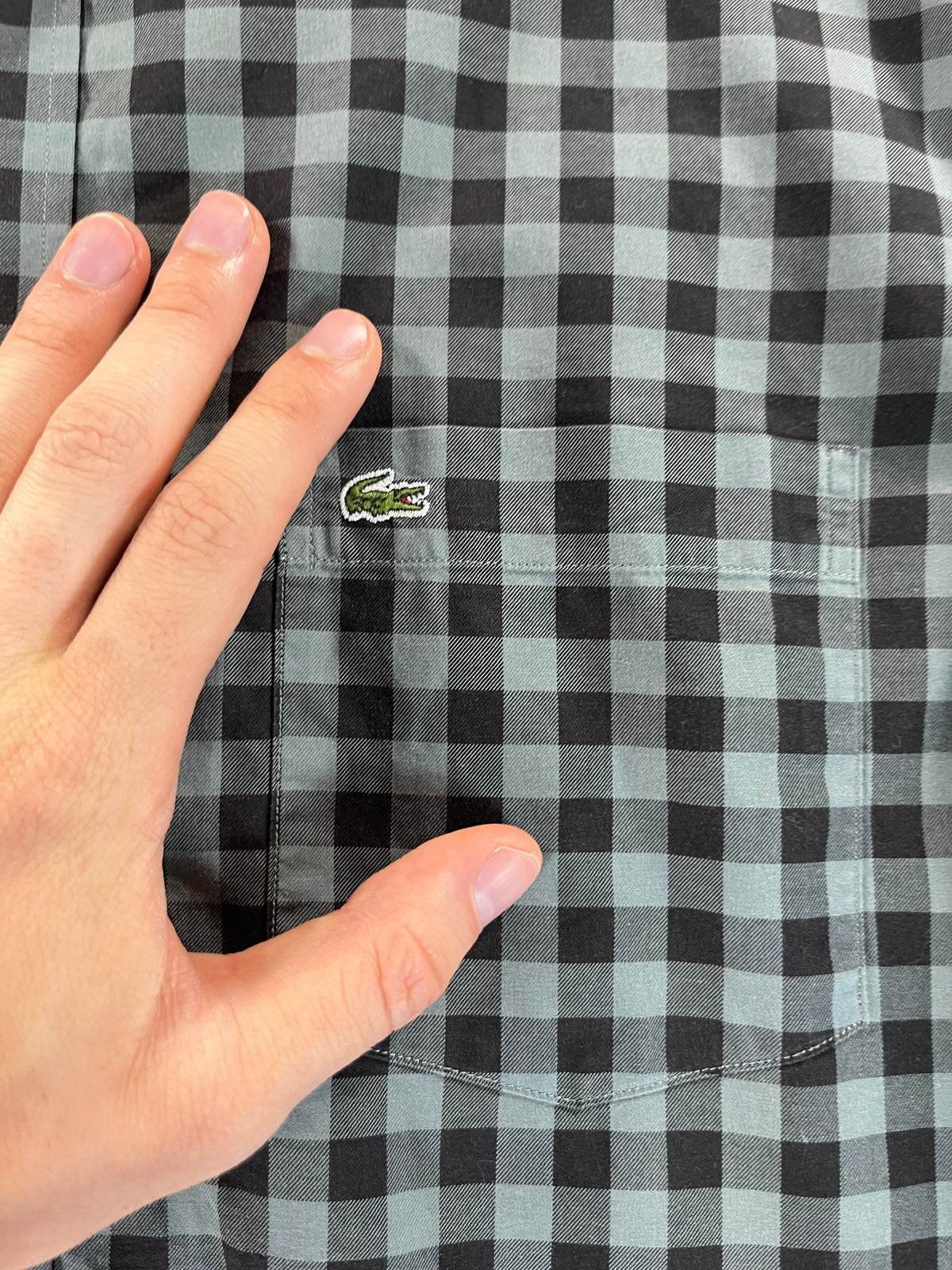 Lacoste Modern Fit ing
