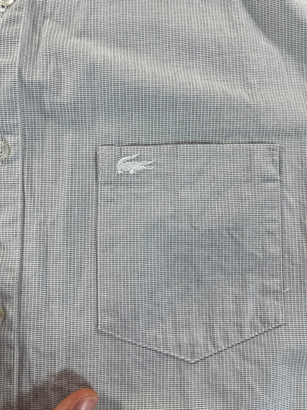 Lacoste Regular Fit ing