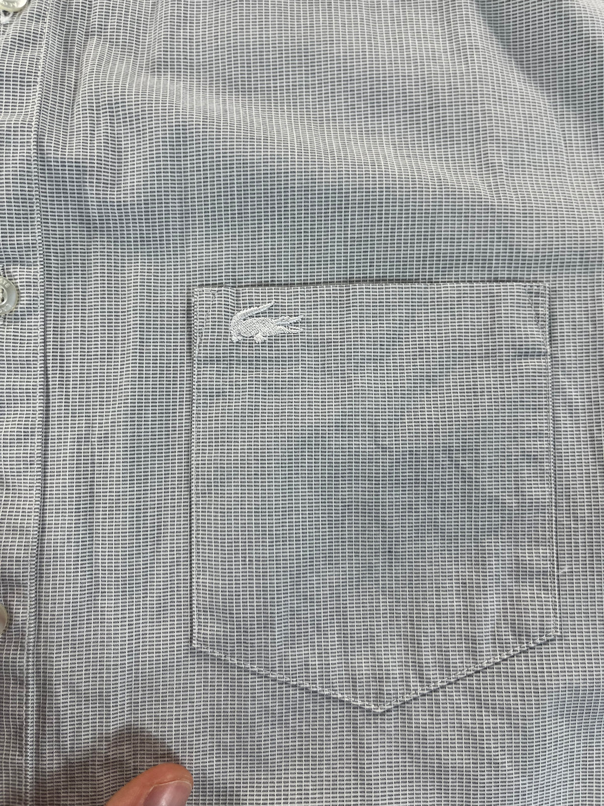 Lacoste Regular Fit ing