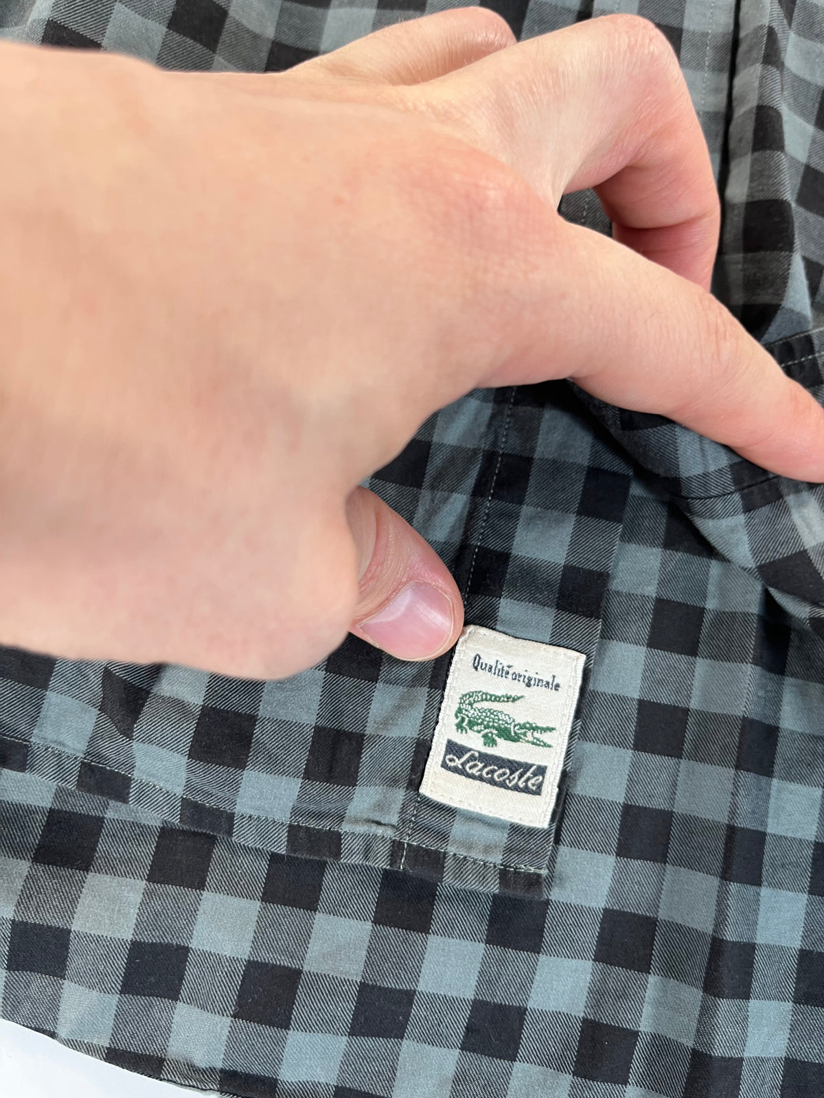Lacoste Modern Fit ing