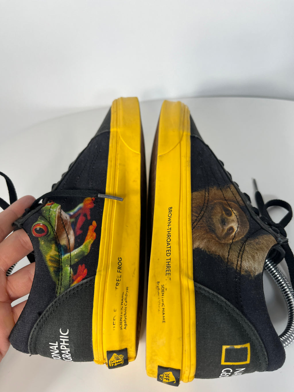 Vans x Natgeo Old Skool cipő