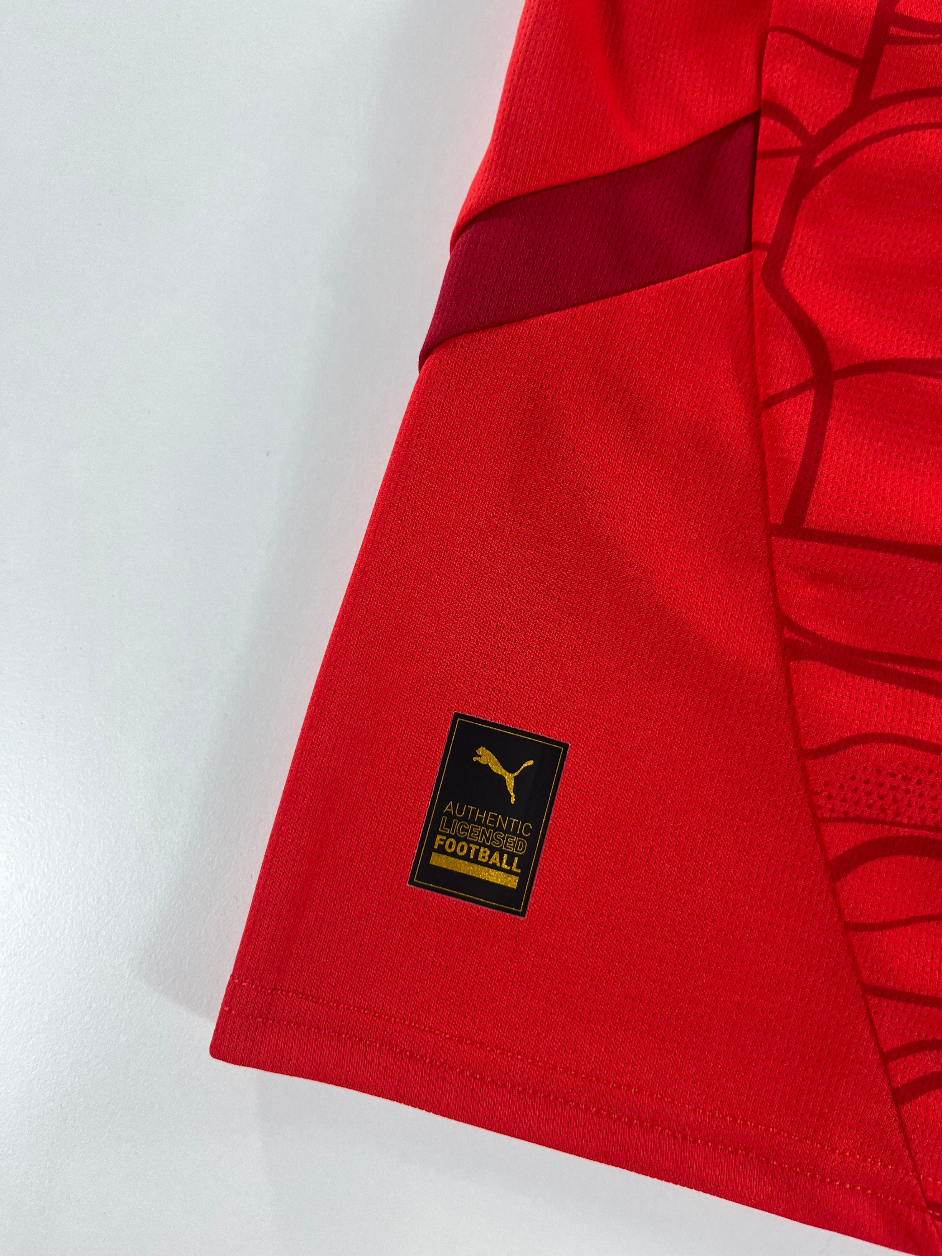 Puma Ausztria válogatott 2024-2025 David Alaba hazai mez
