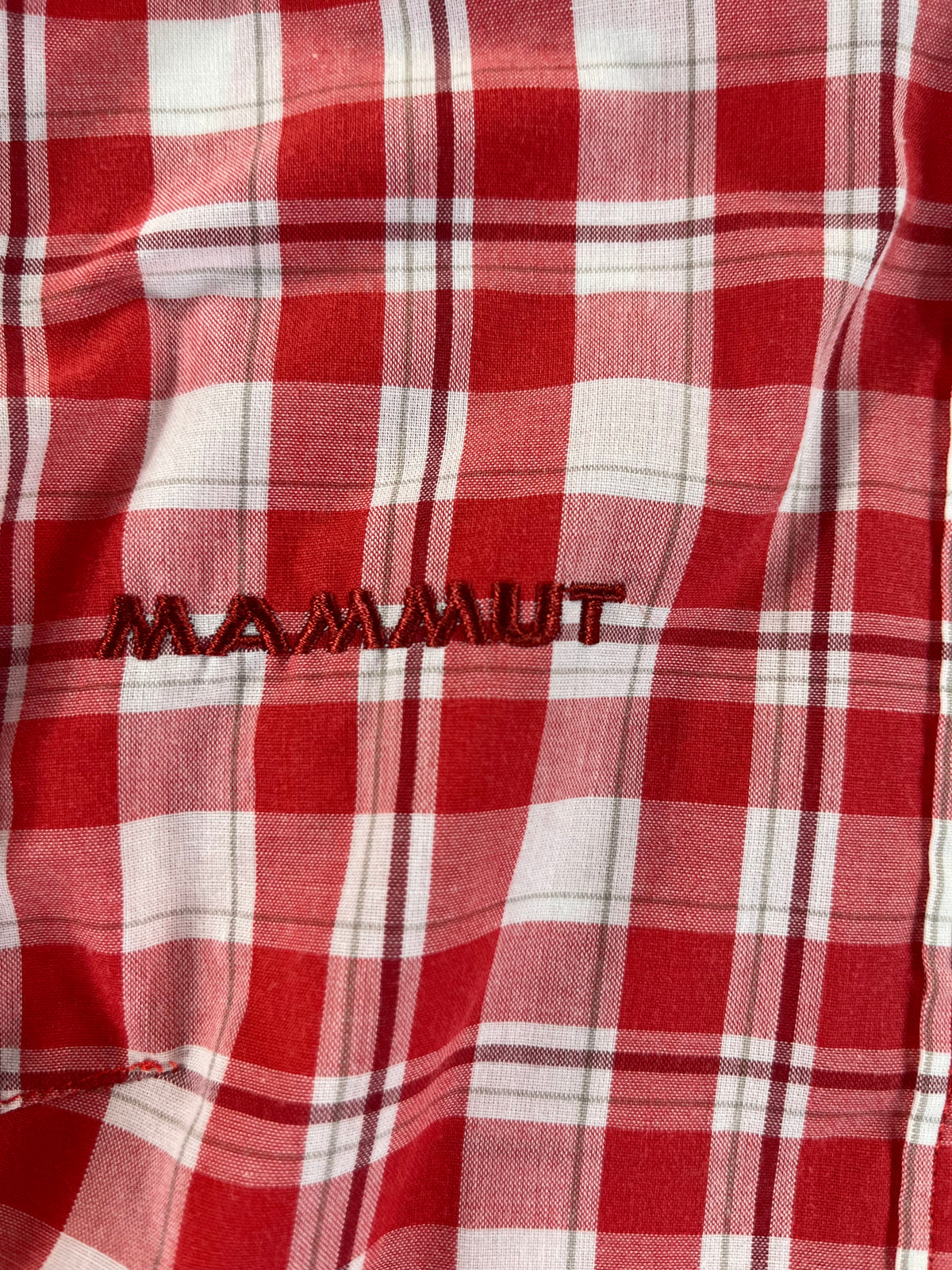 Mammut ing